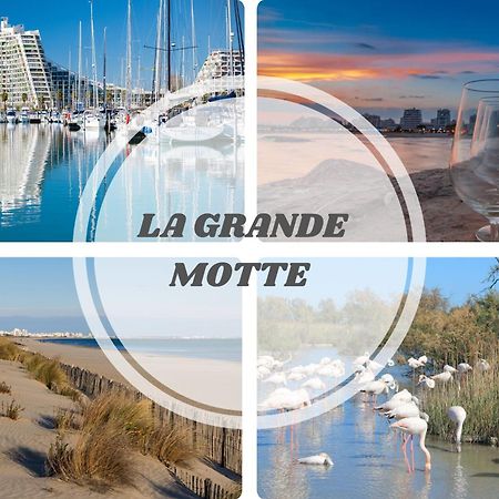 Le DREAM BEACH-TERRASSE-VUE MER D'Exception-WIFI-PARKING - CoHôteConciergerie Palavas-les-Flots Exterior foto